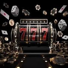 ajm77